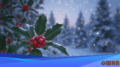 Celestial Movements Influence December 2025